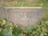 image of grave number 259103